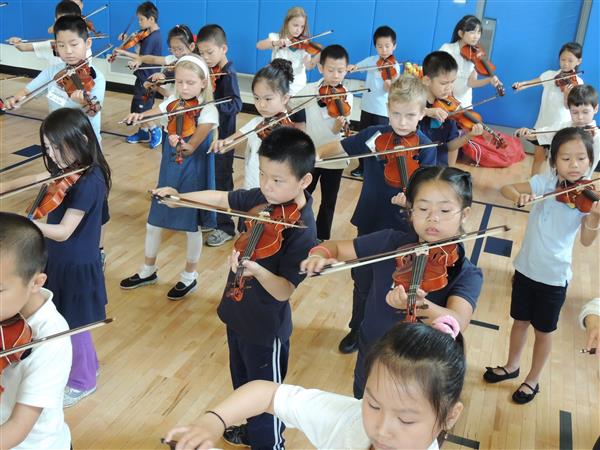 violin 